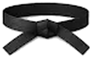 Black belt
