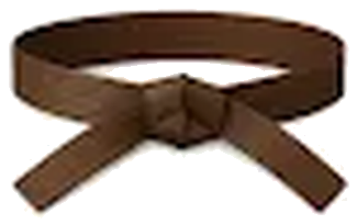 Brown belt