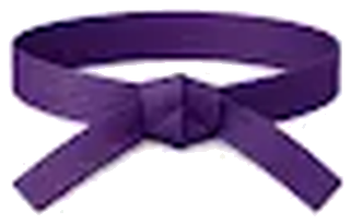 Purple belt